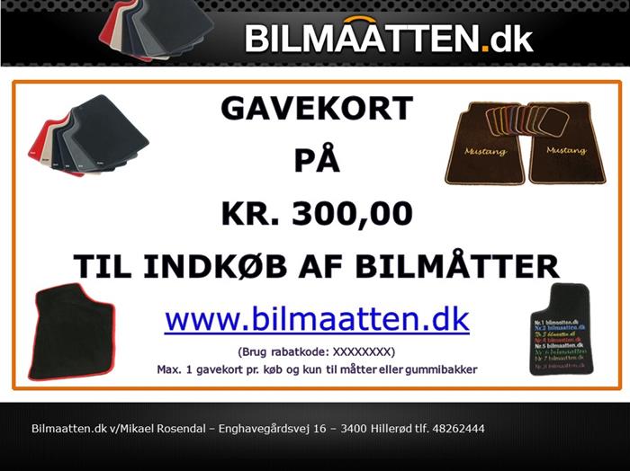 Gavekort på kr. 300,00